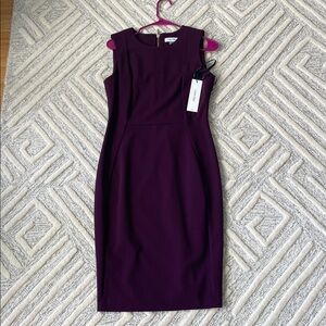 NWT Calvin Klein sleeveless burgundy dress.